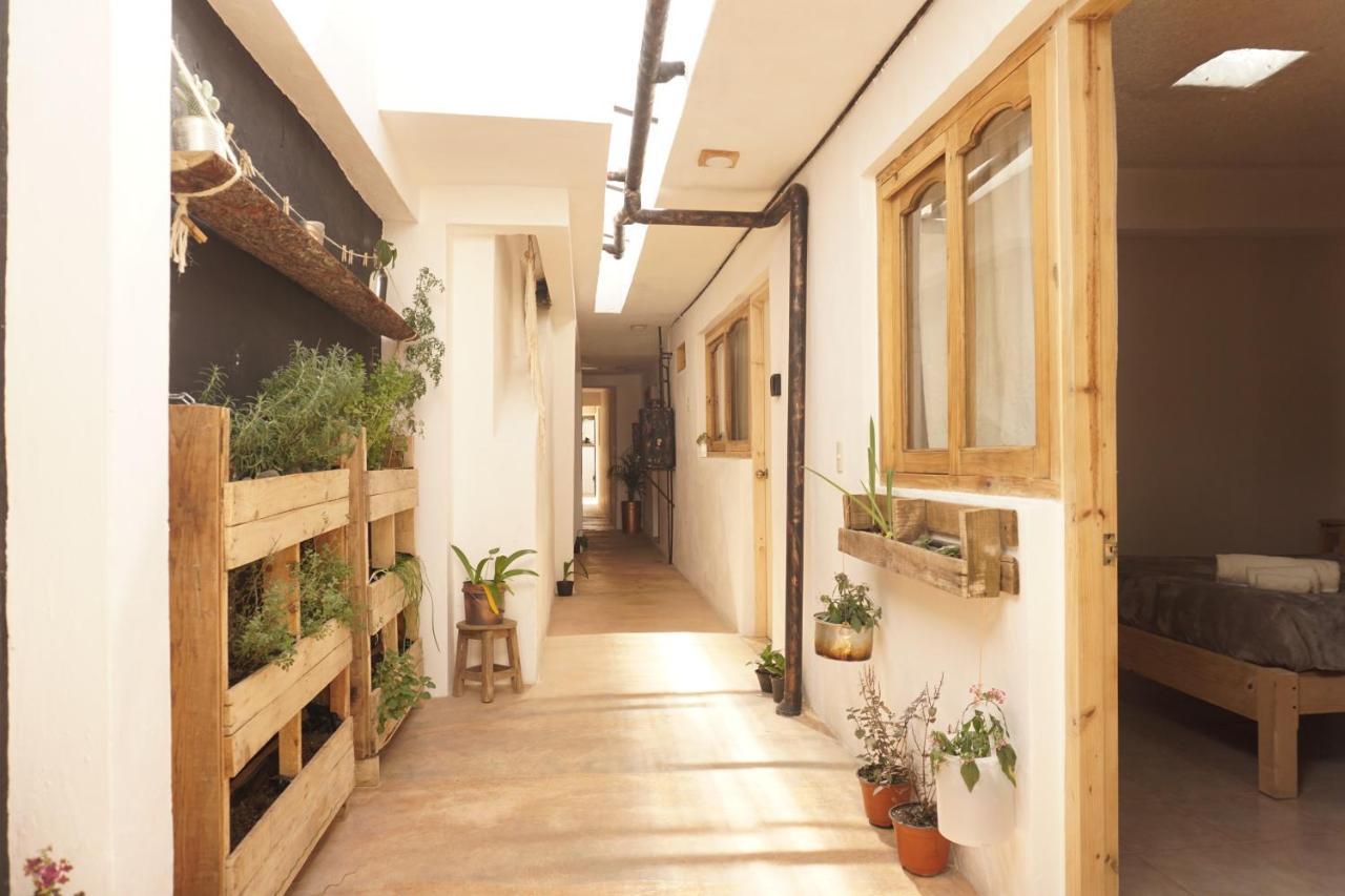 Hostel Boutique 55 San Cristobal de las Casas Exterior photo
